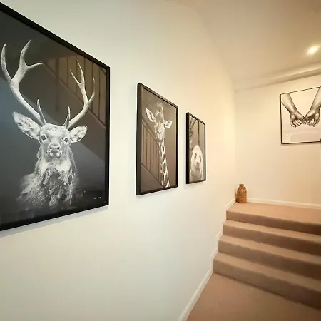 Big Fun Flat In Centre With Patio & Parking * Bristol